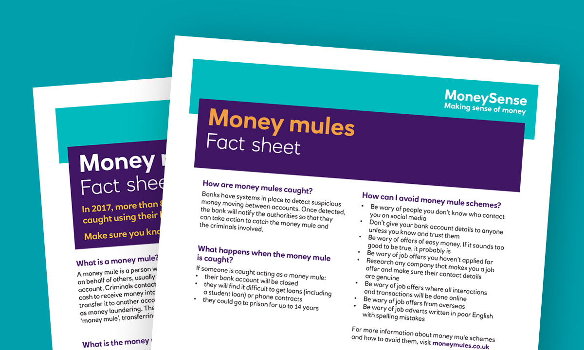 Money mules fact sheet